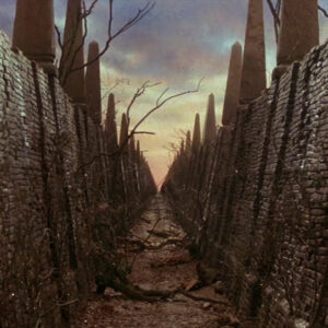 The inside of the Labyrinth maze